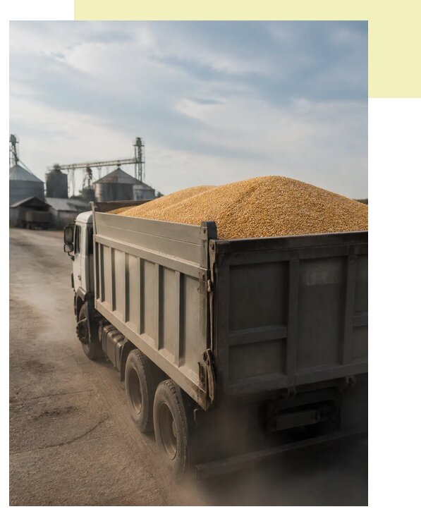 Перевозка сельхозпродукции навалом в Донского по цене от 3040 р. | Агросервис-Днс