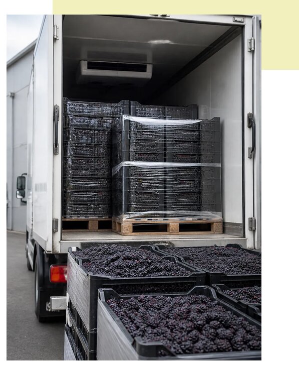 Перевозка ежевики автотранспортом в Донского — от 5066 р. | Агросервис-Днс